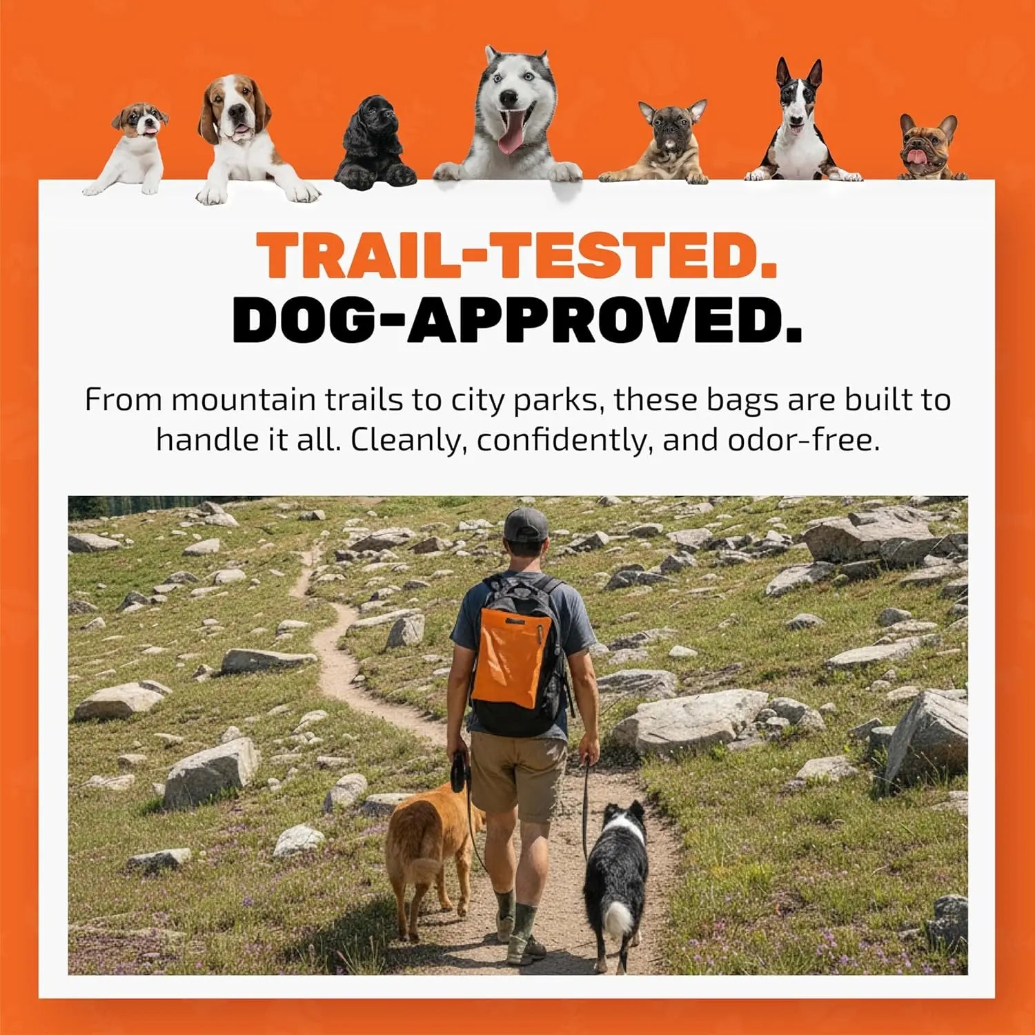 Cleanwaste Waggy Baggy Adventure-Ready Dog Waste Bags, Smell-Proof Dual Bag System with Convenient Carry Handle, 10 Count